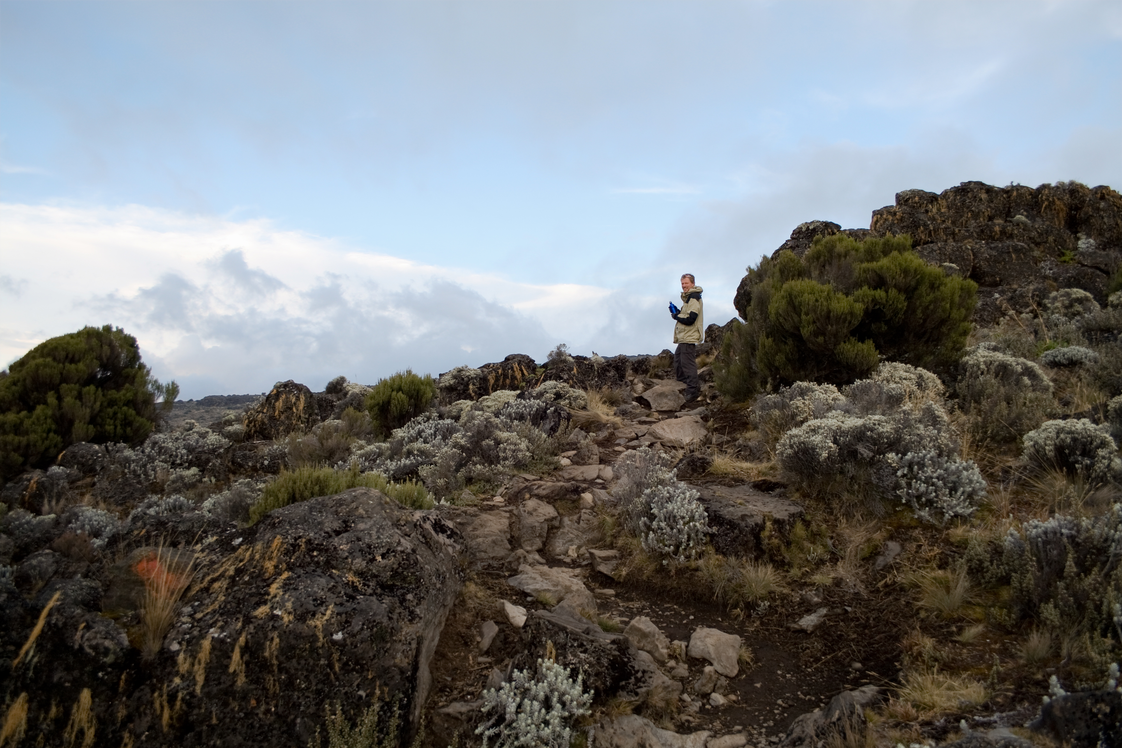 Big Tree Camp to Shira 1 Camp - Day 2 of Lemosho Route